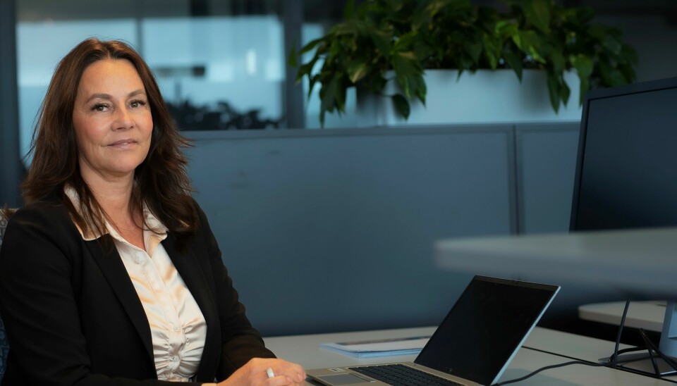 Birgitte Engebretsen er administrerende direktør for Telenor Norge.