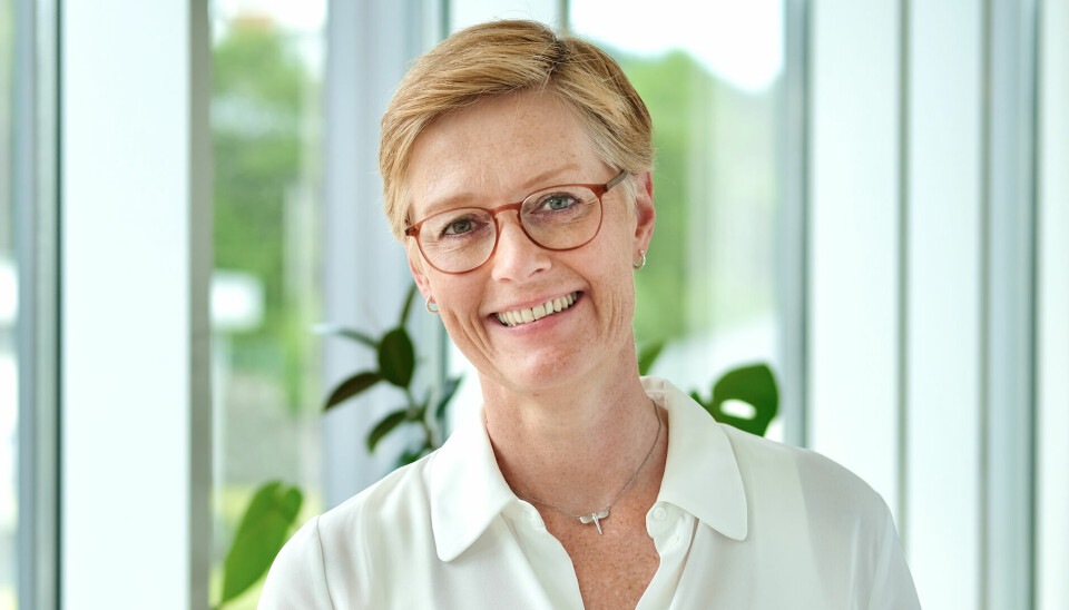Hanne Krum