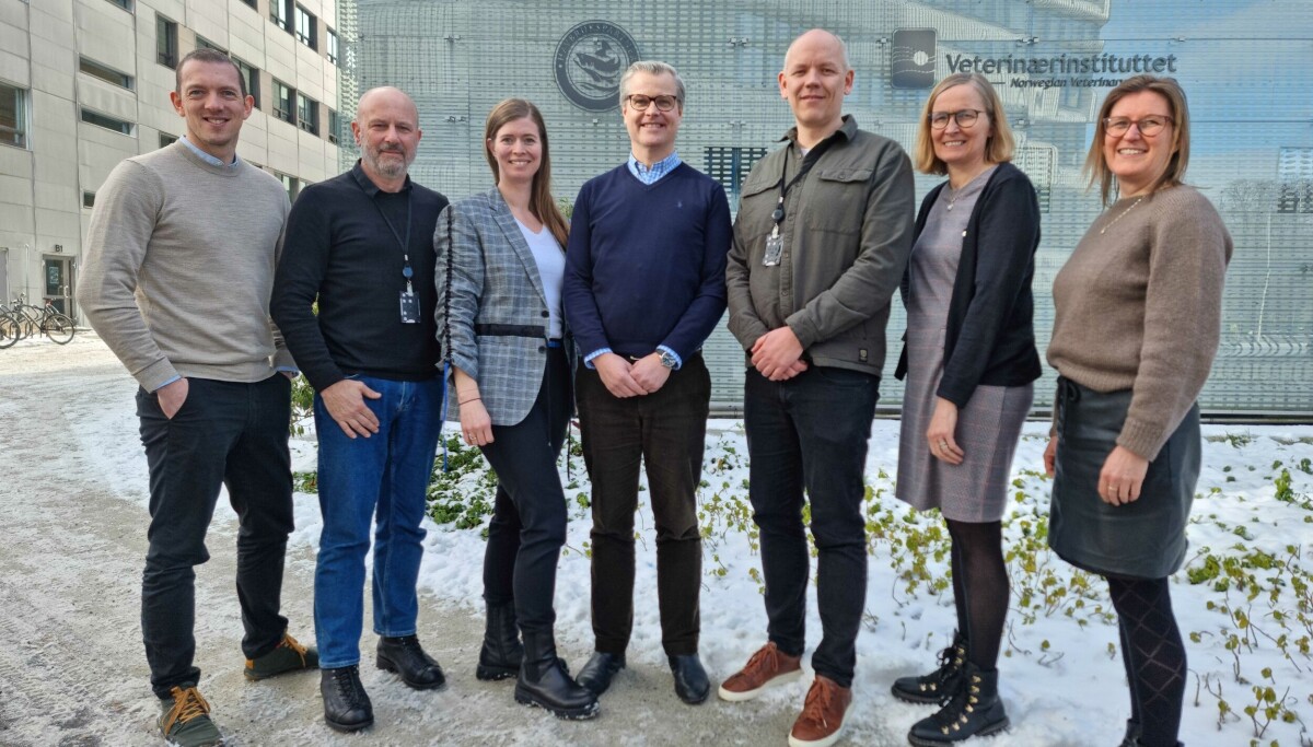 Stacc med gjennombrudd i Danmark