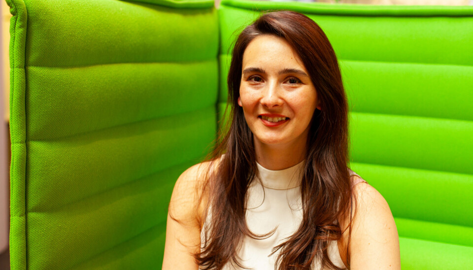 Sebnem Erener, juridisk rådgiver Klarna Sebnem Erener, juridisk rådgiver Klarna