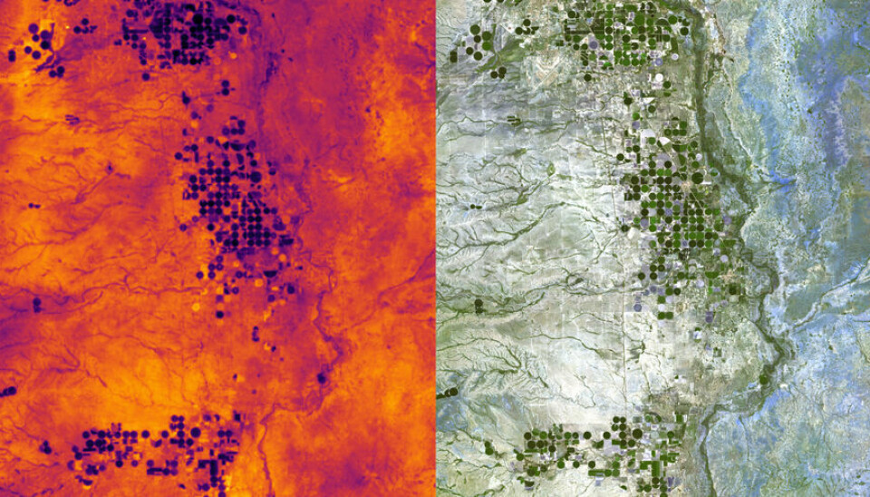 Mens bildet til høyre er et vanlig satelittbilde, har det til venstre fanget opp termiske forskjeller.