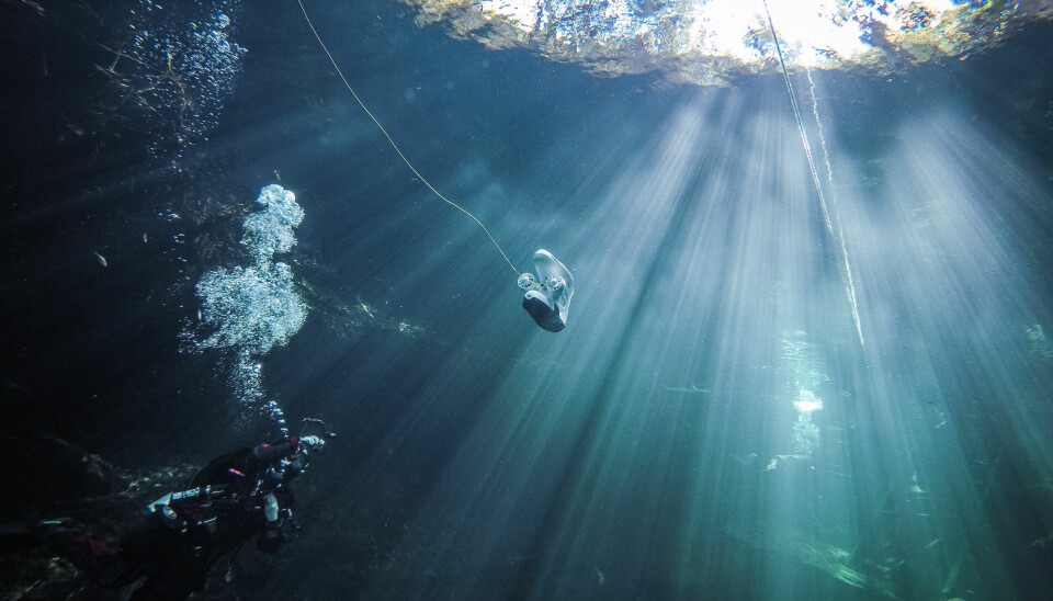 Undervannsdronene til Blueye Robotics har fått stor oppmerksomhet i inn- og utland.