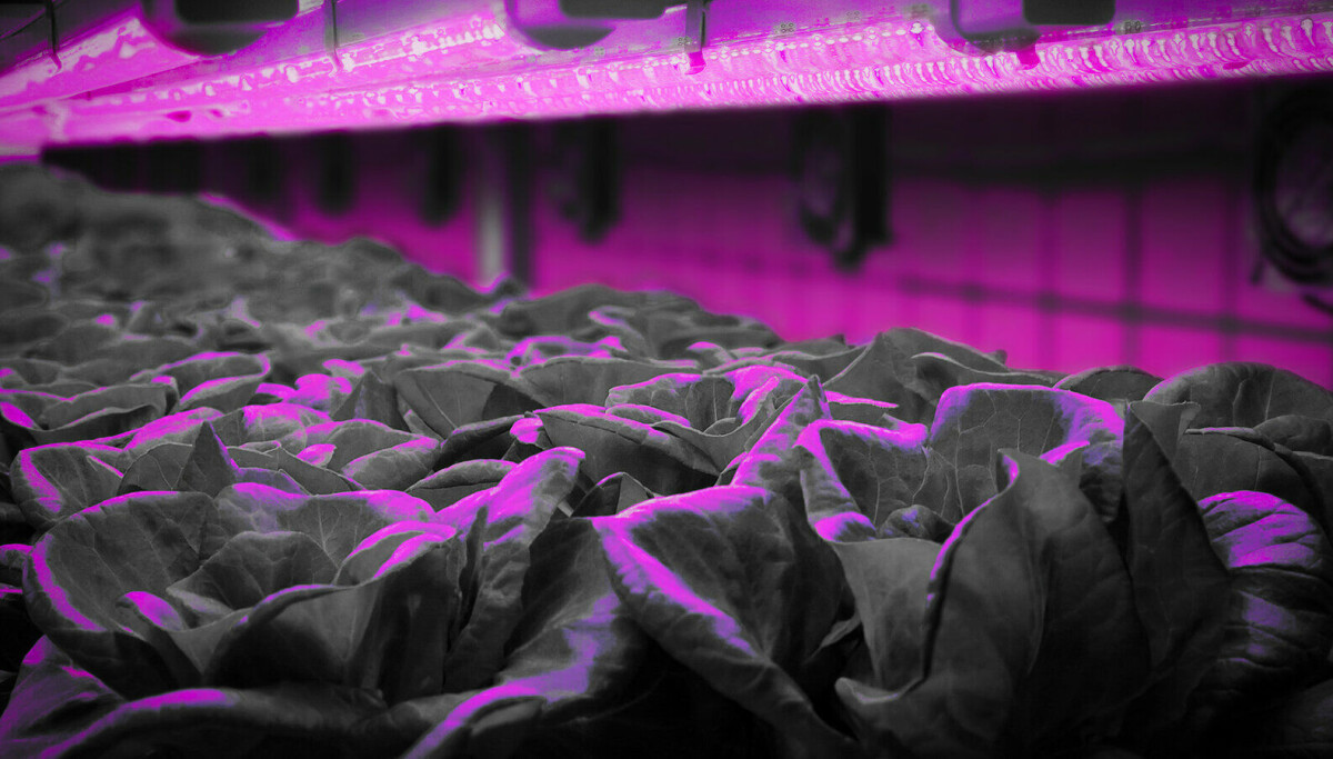 Photo: Foto: Crayonano Selskapet ble verdsatt til en halv milliard - nå er det slutt