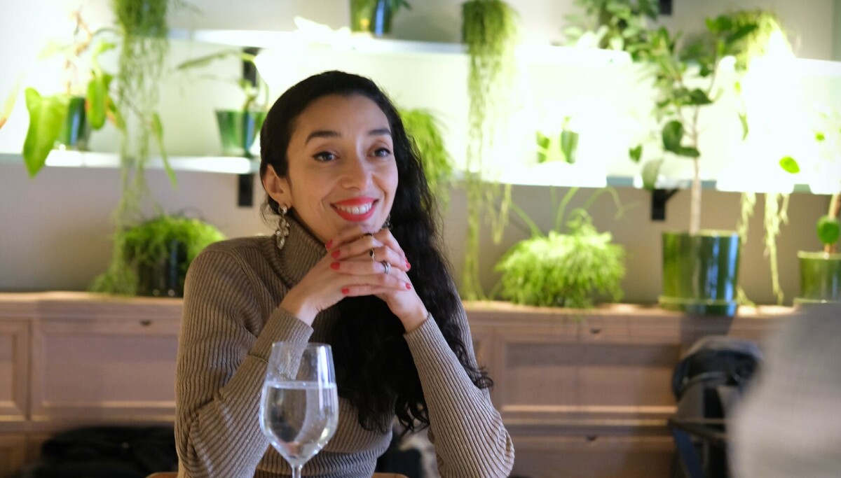 Hun var en av de første investorene i milliard-suksessen Chooose - nå vil Raja Skogland hjelpe startups med å finne mye bedre styremedlemmer