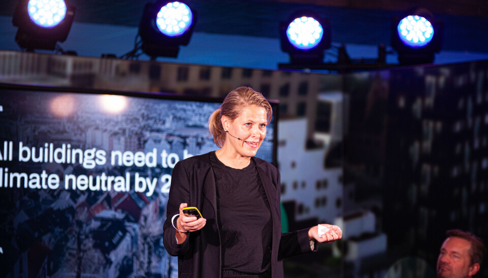 Børrea Schau-Larsen, CEO i Vilda