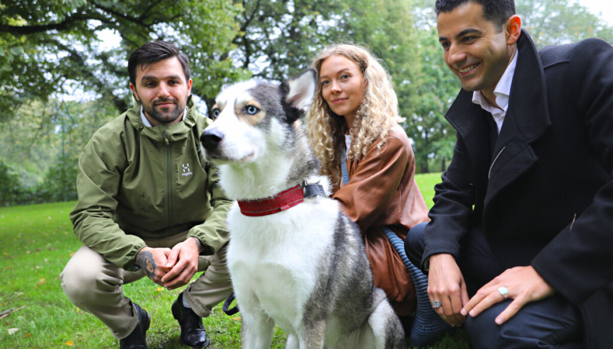 Photo: Mia Sandnes Nilsen Ny app skal redde «koronahundene»