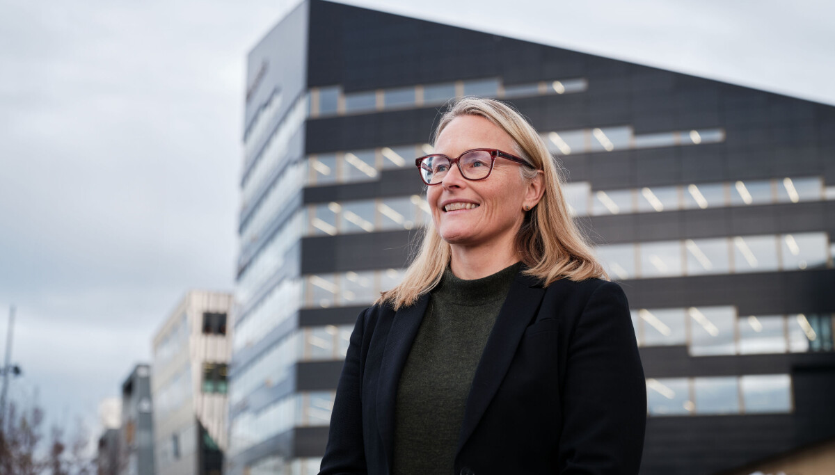 Photo: Joakim Birkeli Jacobsen Forlot Nofence - nå skal hun lede Investinors nye skogsatsing
