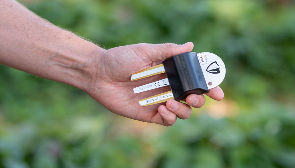 SENOR: Slik ser sensorene til Soil Scout ut før den graves ned i jorda.