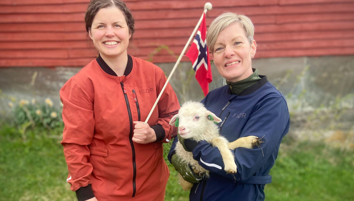 Photo: Per-Ivar Nikolaisen Gründerselskap henter Latter-sjef