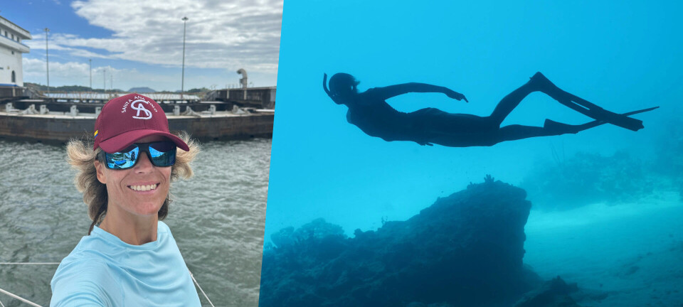 Skalerer startups fra Stillehavet