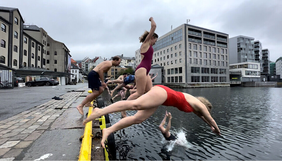 En, to.. : Synkronhopping til ære for fotografen denne fredagen. Når det er kalde dager på vinteren, passer de på at noen alltid er på land.
