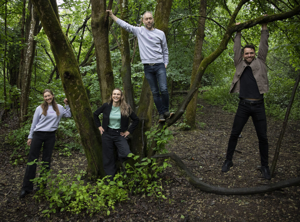 Teamet i Noora på plass i Svartdalsskogen (fra venstre): Markedssjef Amalie Damsgaard Jensen, administrerende direktør Lauga Oskarsdottir, teknologisjef Peter Brattested Lillevold og produktsjef Eivind Flatlandsmo.