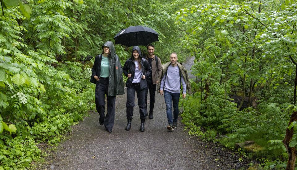 Ikke helt regnskog, men iallfall en regnete skog. Det var et ganske heftig vær da gründerteamet i Noora møtte Shifter mellom Bryn og Kværnerbyen denne uka.