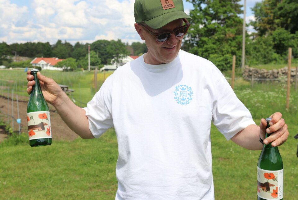 Tech-gründerens grønne oase på Hvaler: – Folk synes vi er helt gærne