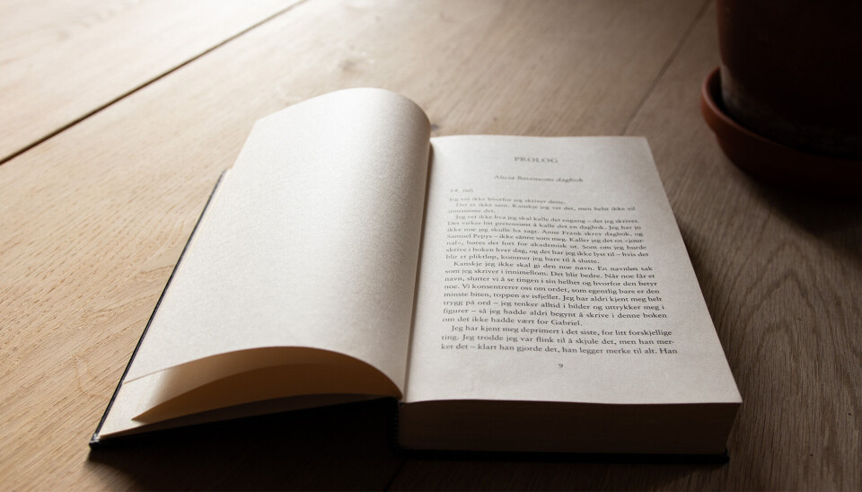 Thriller: Månedens bok som hadde en en overraskende plotwist. Bilde av månedens bok som er en thriller med en overraskende plotwist.