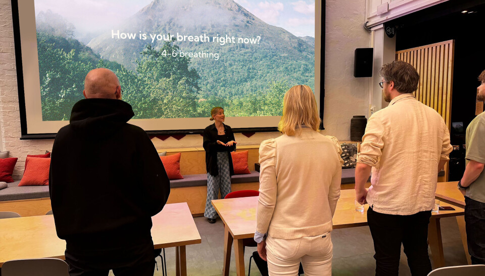 Alexandra Niemi Olsen kurser bedriftsansatte i meditasjon. – Vi er åtte milliarder mennesker på planeten, og ingen av oss er like, men nervesystemet, fryktresponsen og vagusnerven er lik hos oss alle, sier hun.