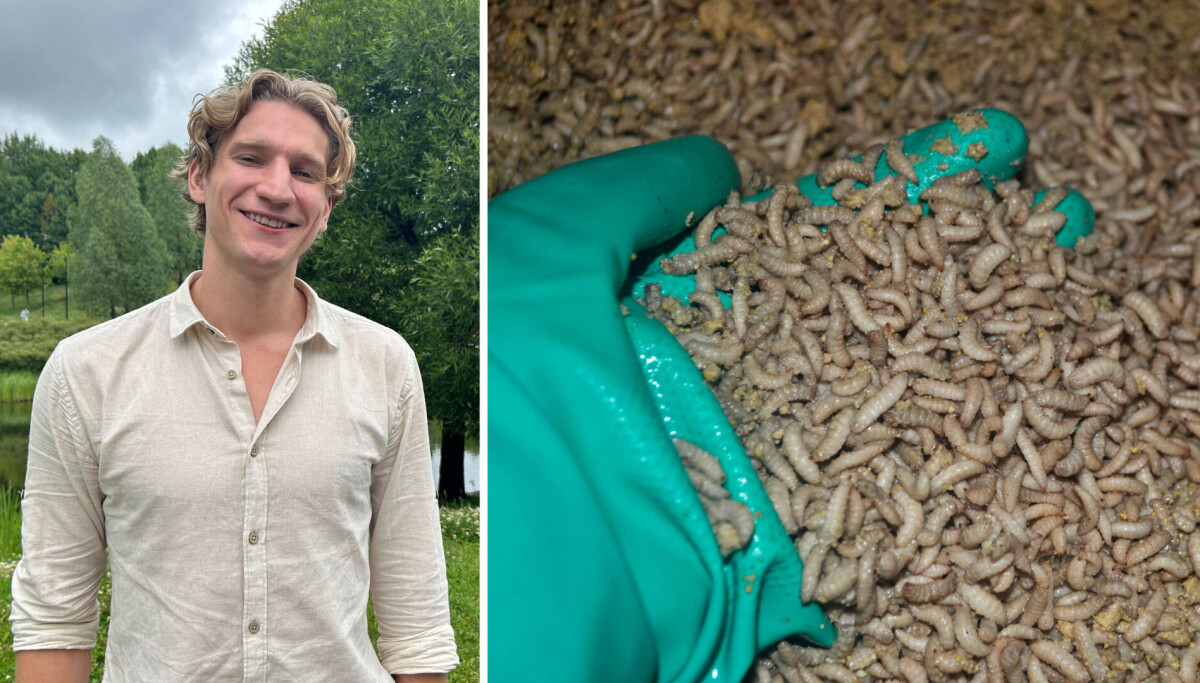 Photo: Mia Sandnes Nilsen Begynte på badet i kollektivet: Nå sikrer studentbedriften millioner til masseproduksjon og eksport av larver