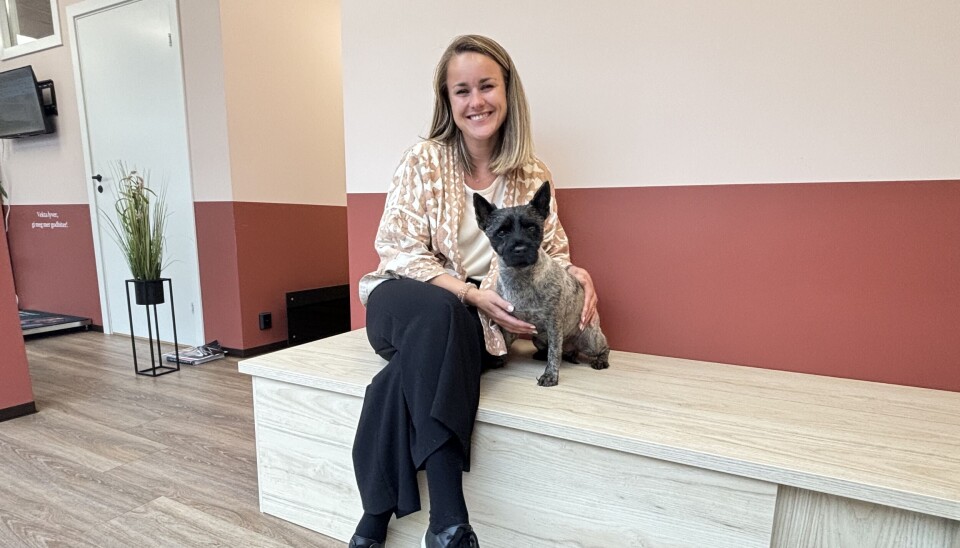 – Det kjennes merkelig å slutte i Schibsted, det som har kjentes som hjem, sier Mari-Marthe Aamold, ny daglig leder i Petrus.