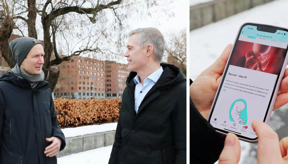 Alexander Rein og Peter Gulliksen lanserte Nørs i 2019.