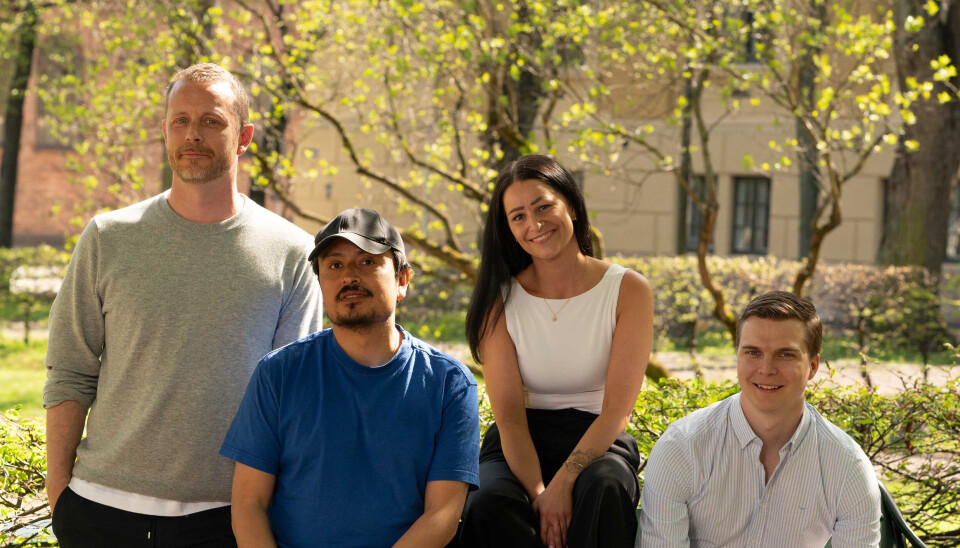 Er leverposteien ultraprosessert? Appen med svaret vokser kraftig