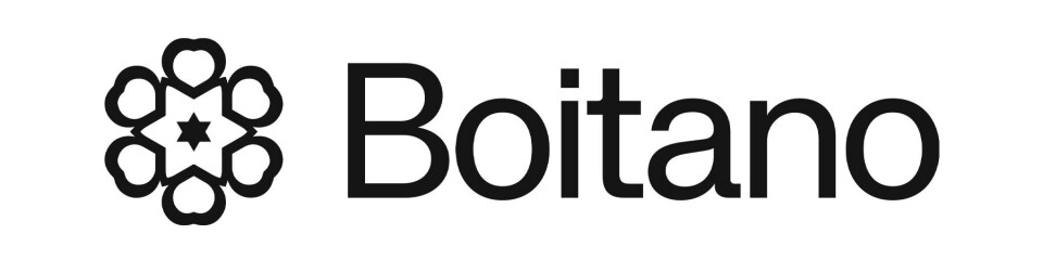 Erfaren utvikler | Boitano AS