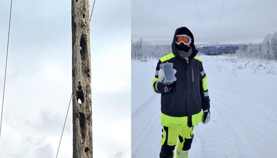 Gründer Stig Skjelvik i Gridguard viser frem sensorboksen. En gjennomhakket stolpe til venstre.