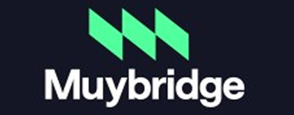 Chief Commercial Officer / VP Sales | Muybridge