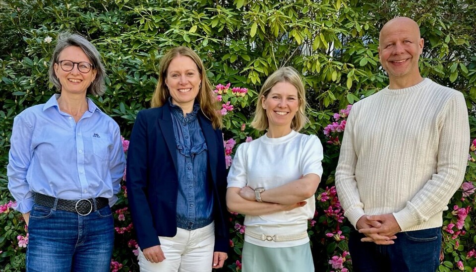 Gudrun Trøite (fra venstre), Head of Operations, Annbjørg Falck CEO, Yrr Mørch, CTO, og Jens Bjørheim, CMO, i NaDeNo.