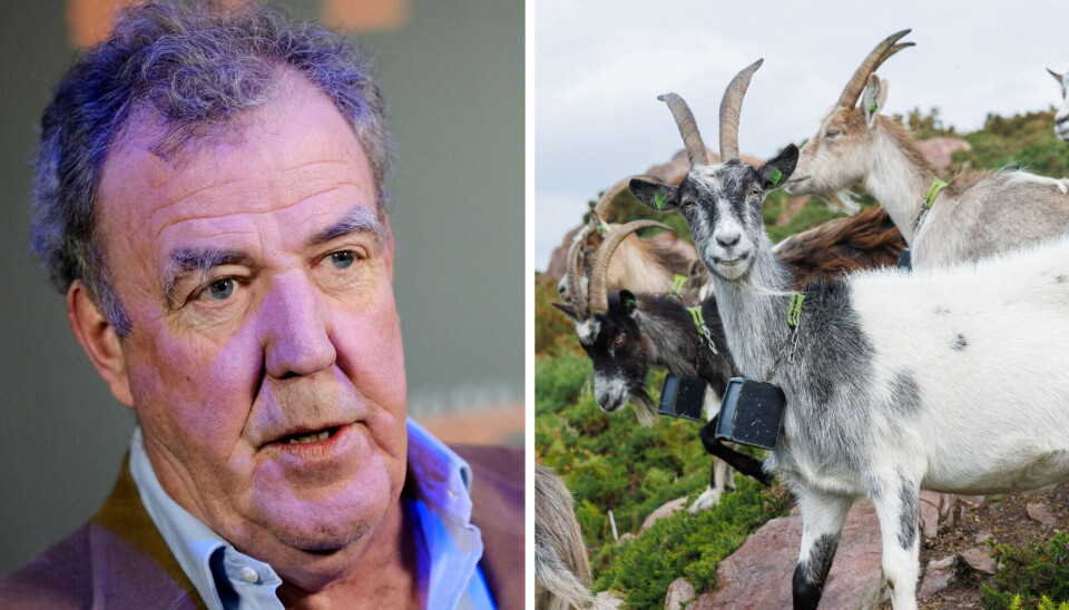 Top Gear-stjerne Jeremy Clarkson til venstre. Top Gear-stjerne Jeremy Clarkson til venstre.