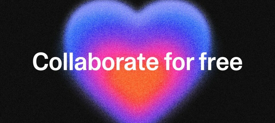 Lovable frykter ikke konkurransen