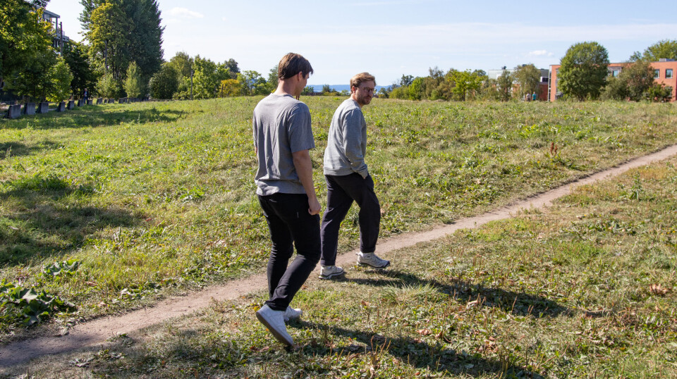 Tise-gründeren var klar for en vanlig jobb – så kom den nye naboen fra Inzpire.me med en AI-idé som måtte lanseres på noen uker