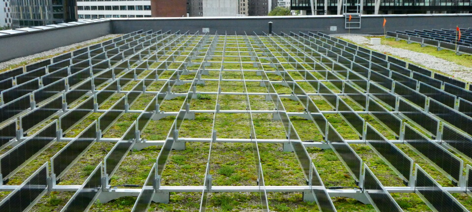 550 knivet om plassen – to norske bedrifter plukket ut