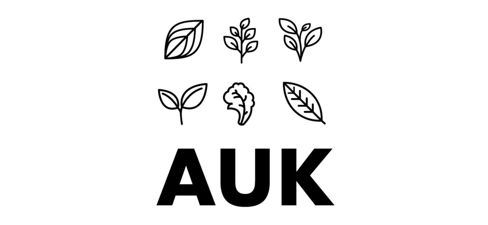Marketing Manager | Auk