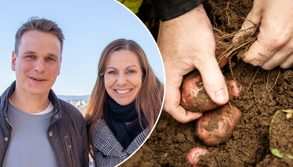 Cornelis Arnoldussen og Heidi Frost Eriksen vil drepe ugress og skadedyr under bakken om vinteren. Cornelis Arnoldussen og Heidi Frost Eriksen vil drepe ugress og skadedyr under bakken om vinteren.