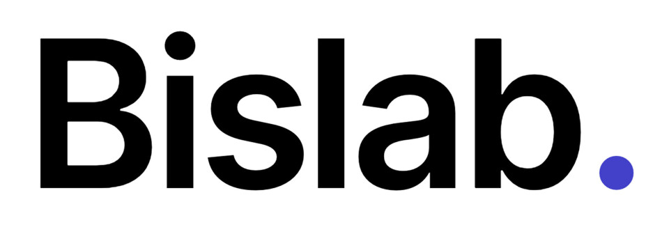 Principal Software Engineer, AI | Bislab
