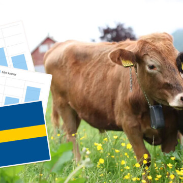 Må se langt etter svensk AI-kalas: 2,4 milliarder bak konservativt «kapital-skjema» i Norge