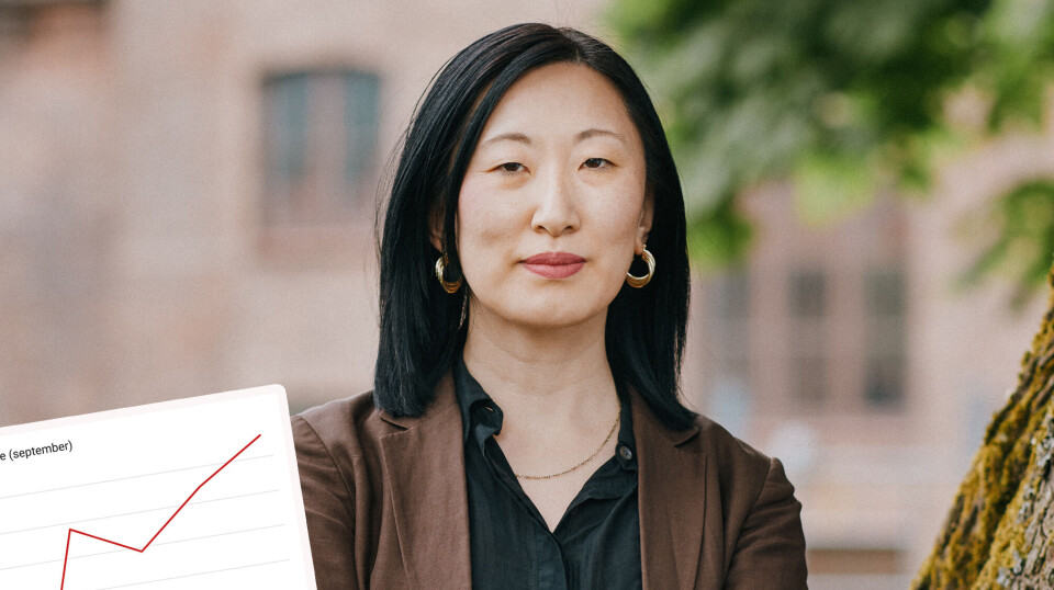 Oversikt: 1600 jobber skapt siden 2021 – men vekstfesten kan være over