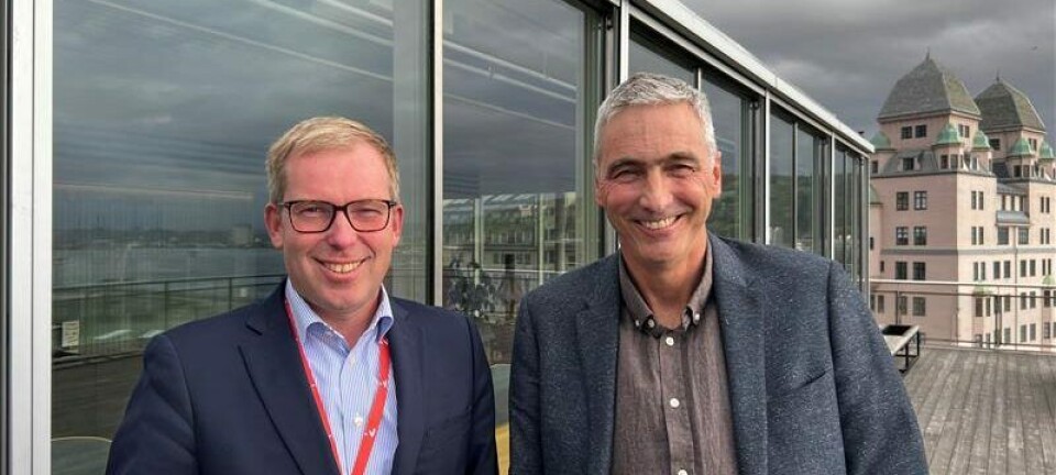 Siva gir fra seg ansvaret for inkubatorene – bransjen frykter kutt og krever en ny plan