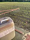 Biostimulant fra Kelpinor som blir brukt av en økologisk maisbonde i Tyskland.